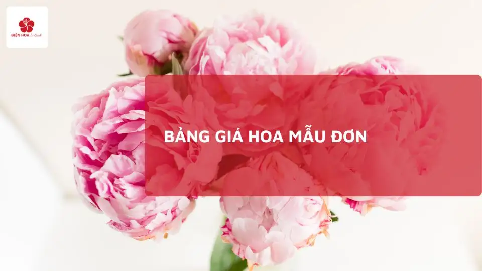 giá hoa mẫu đơn